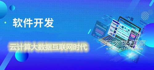 定制软件开发 找哪家 禾迅科技 等您来一对一指导