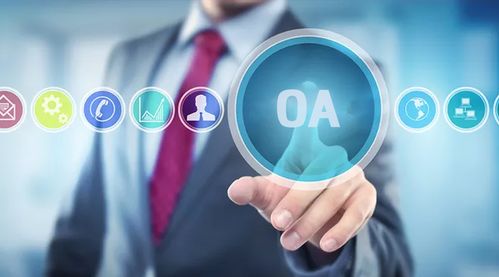 定制开发oa系统成本费用