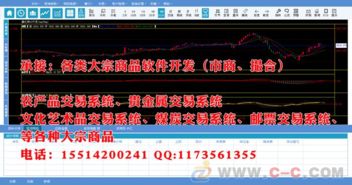 白银交易系统开发 大宗商品软件开发