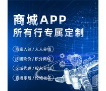 系统软件开发与软件系统定制开发 驱动企业数字化转型的双翼